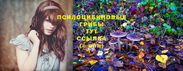 гашиш Арсеньев