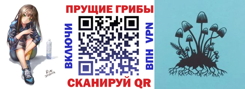 Галлюциногенные грибы Psilocybine cubensis  гидра tor  Сорочинск  где продают  